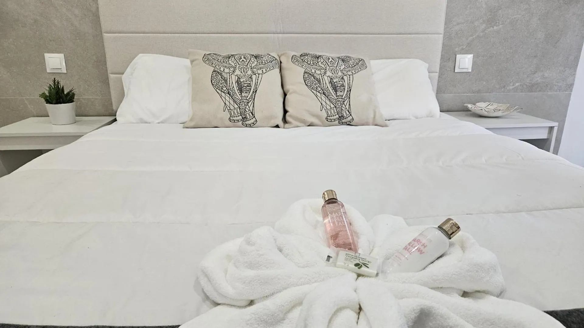 Casa Mari Apartment Malaga